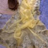 Beautiful soft Organza