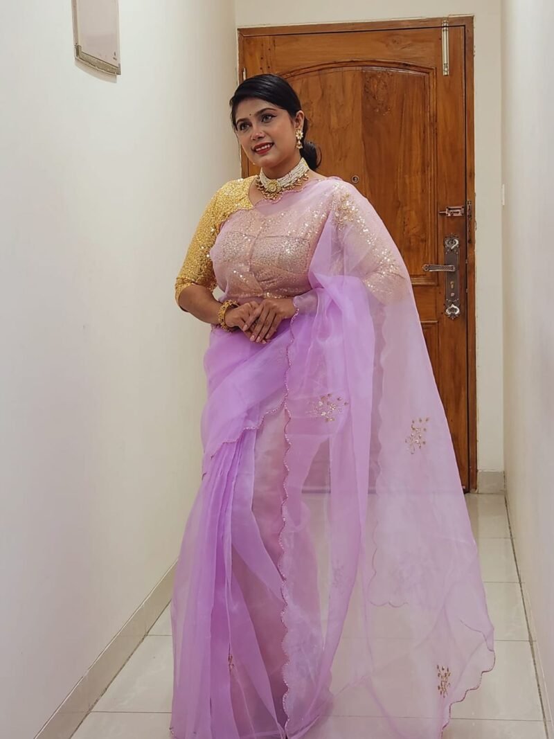 Beautiful organza Saree