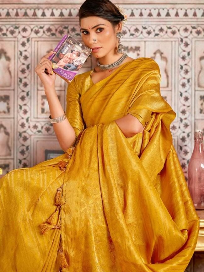 Elegant kanjivaram silk