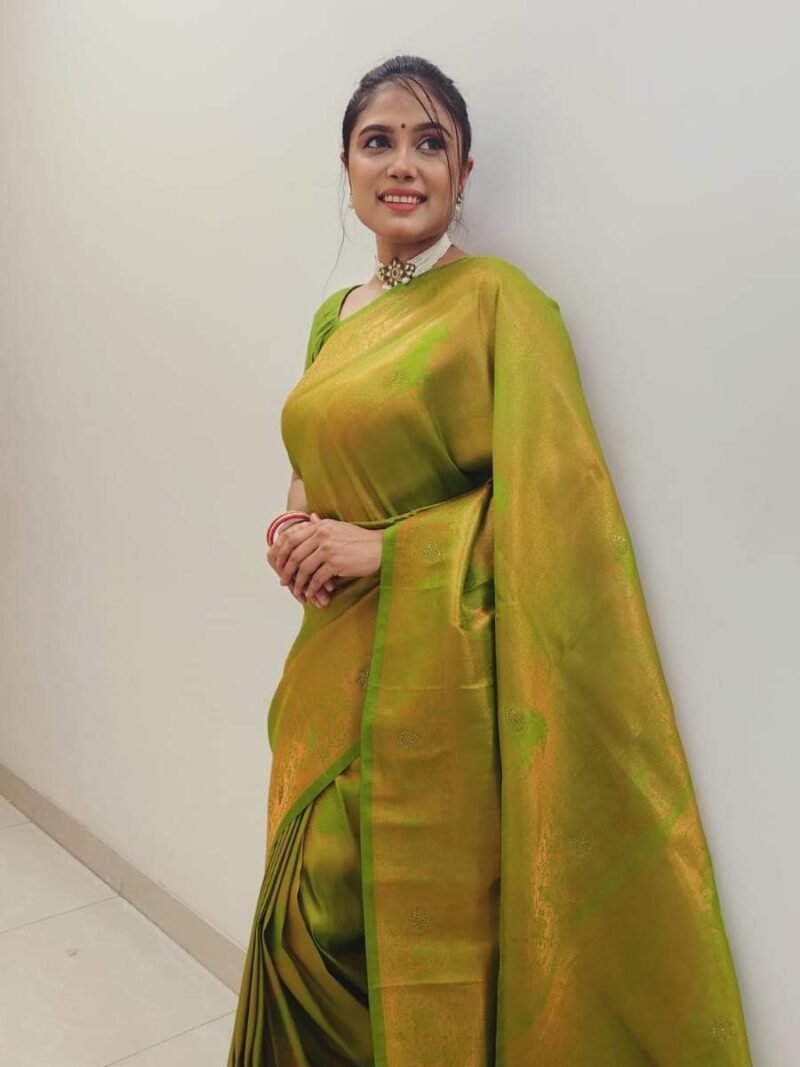 Pretty Kanjivaram Katan Saree