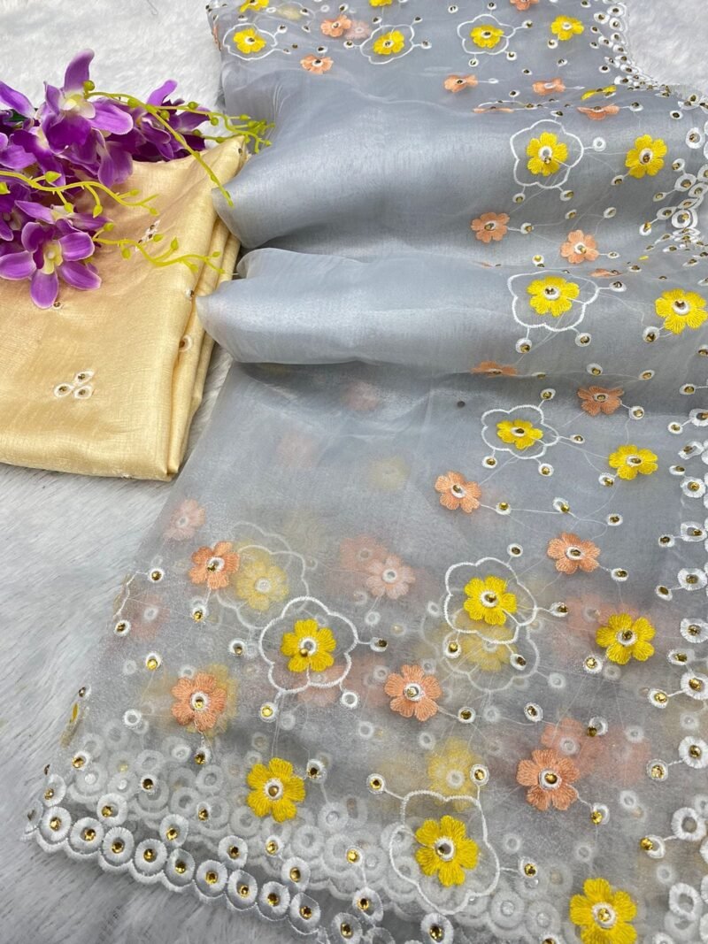 Pretty Organza Saree