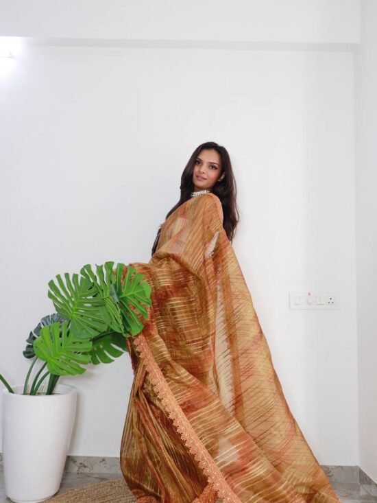 Pure Organza Silk